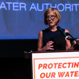 Rep. Susie Lee speaks at event