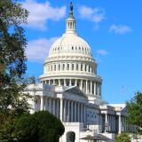 Tree  lined side of the Capitol building
