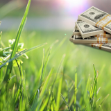 Money floating over a grass lawn