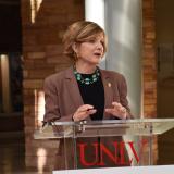 Rep. Susie Lee, D-Nev., speaks during a news conference